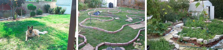 Monica_YardTransformation